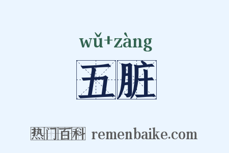 五脏是什么意思的图片